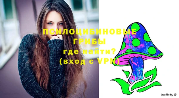 альфа пвп Армянск
